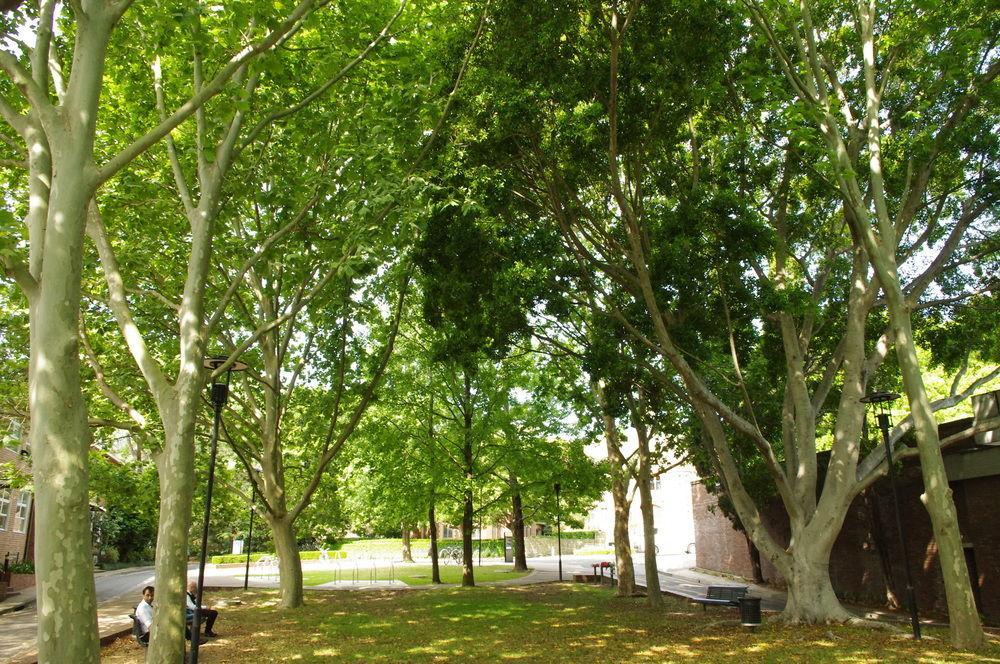 Glebe Space Pop Up Camperdown Экстерьер фото